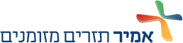 אמיר תזרים מזומנים