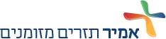 אמיר תזרים מזומנים